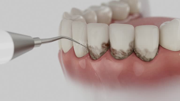 Reliable Dental contractor in Blacksburg, VA by Dentist Open Now